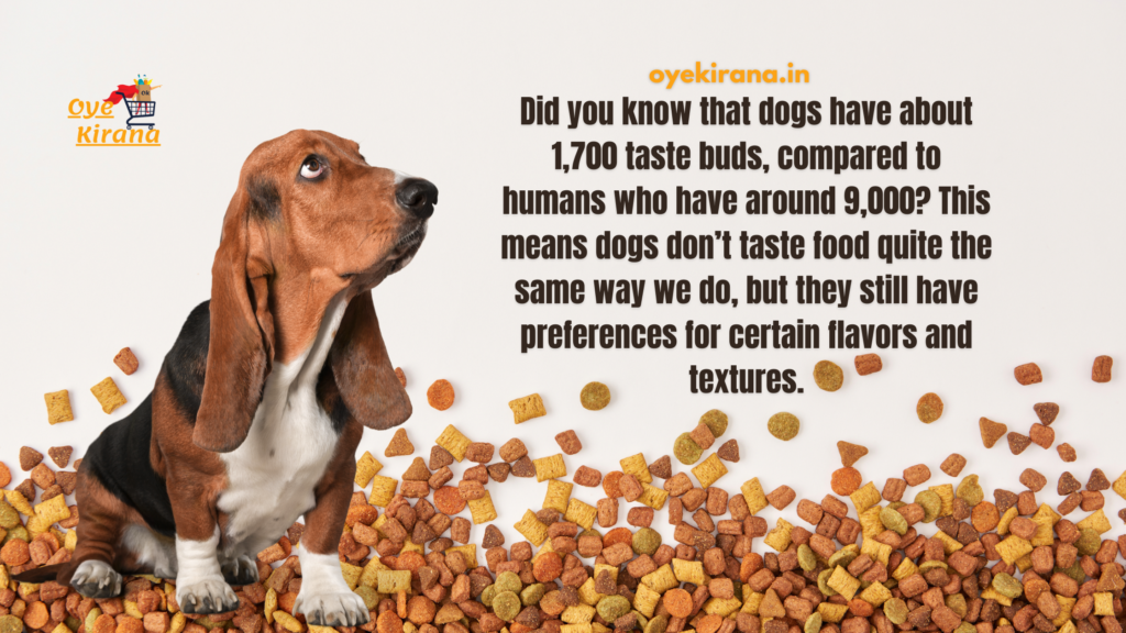 Dog Food In India