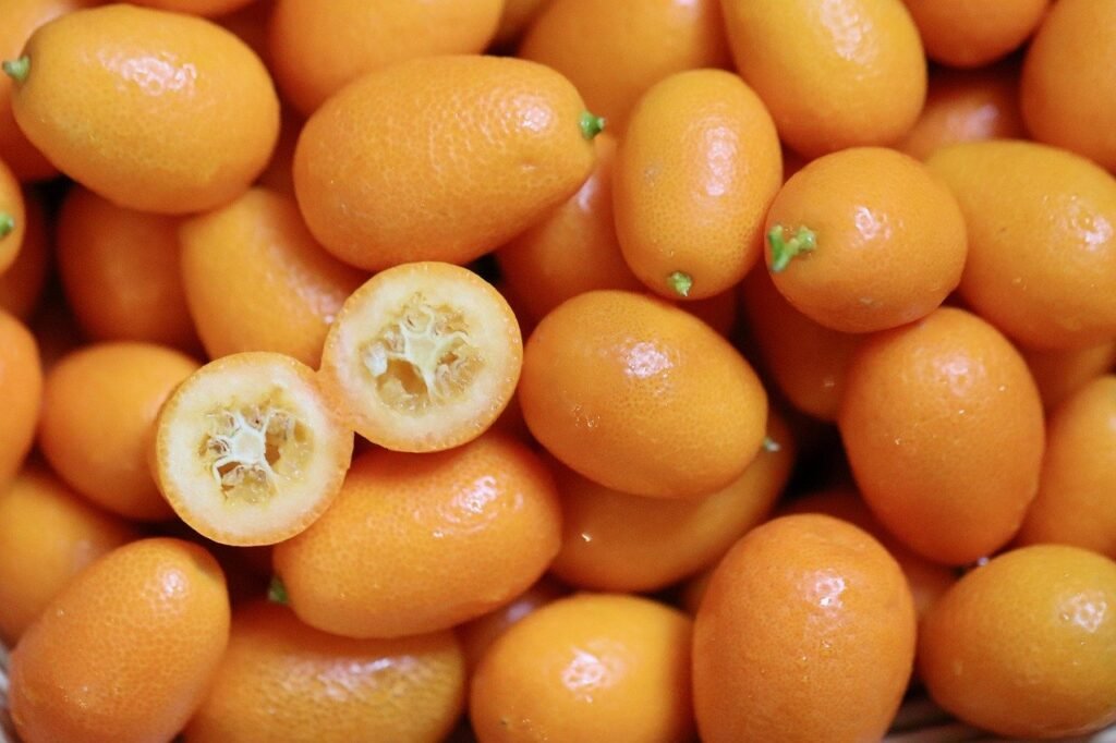 Nagami Kumquat