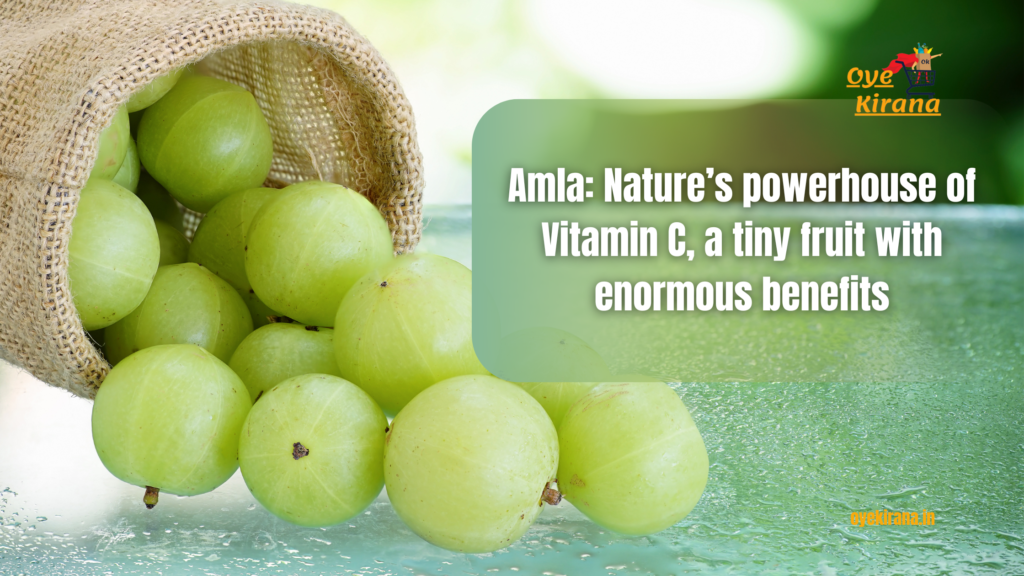 Amla Juice in india